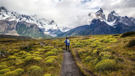Amazing Views Adventure 的图像结果
