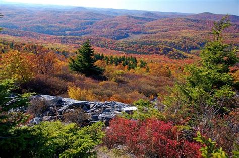 THE BEST Seneca Rocks Non-Smoking Hotels 2025