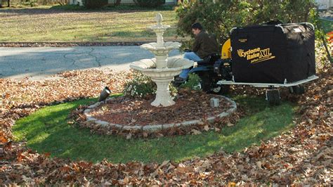 Image result for Cyclone Rake Tips and Tricks