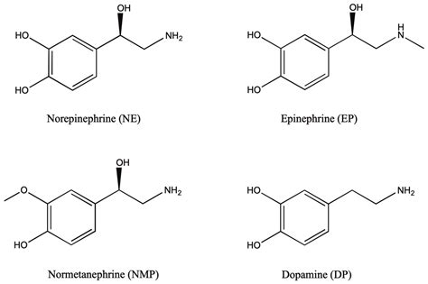 Norepinephrine Epinephrine Amphetamines Structures Drugs Structure Methamphetamine Compared ...