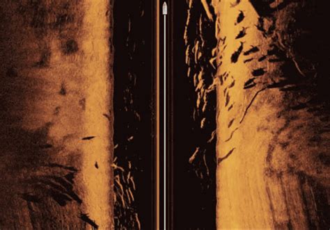 Image result for How to Read Side Scan Imaging