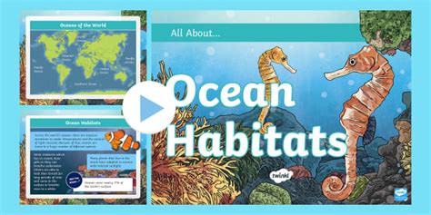 KS2 All About Ocean Habitats PowerPoint - Ocean Habitat