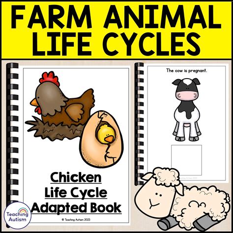 Animal Life Cycles Bbc Teach at Madison Calder blog