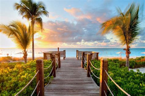 Nature Beauty Images 的图像结果