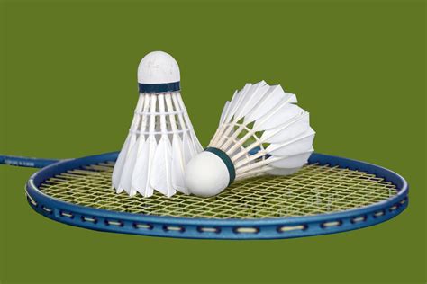 Badminton Racket and Shuttle 的图像结果