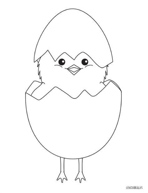 Chick Coloring Pages