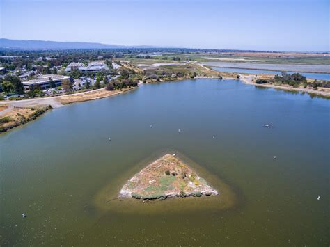 Naturetastic Blog: Shoreline Park - Mountain View, CA (Aerial ...