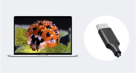 USB Microscope Magnification 的图像结果