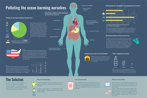 Data Report Poster Examples 的图像结果