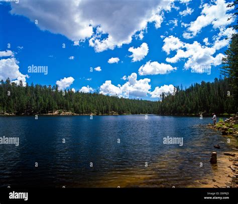 Bear Canyon Lake is a lake built by Arizona Game and Fish Department ...