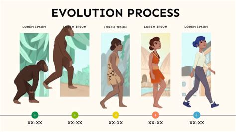 Evolution Process Flow Chart 的图像结果