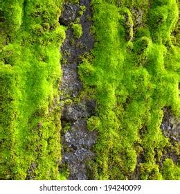 Image result for Simple SQL Commands