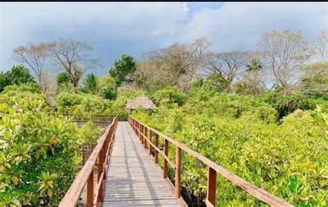 EXPLORE TOURISM - Top Travel Agents & Tour Operators in Junglighat Port ...