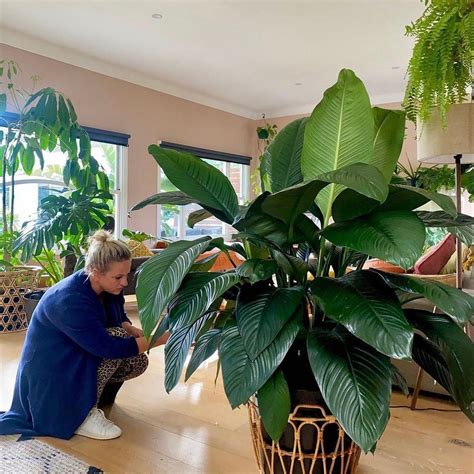 Into The Wild @ Home on Instagram: "You know how much we love our big ...