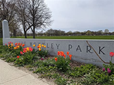 Joe Moakley Park (Pickleball, Tennis) | Bounce