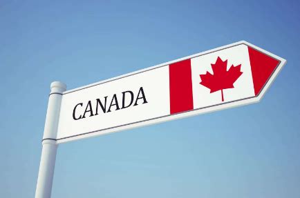 加拿大留学签证怎么办？全面解读与申请攻略