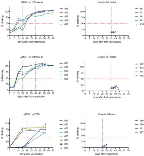 Taking a Promising Vaccine Candidate Further: Efficacy of ASFV-G-ΔMGF ...