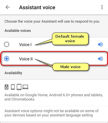 Image result for Voice Assistant Setting
