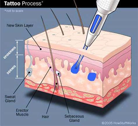 Image result for Tattoo Process
