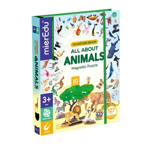 All About Magnetic Learning | Jenjo Games