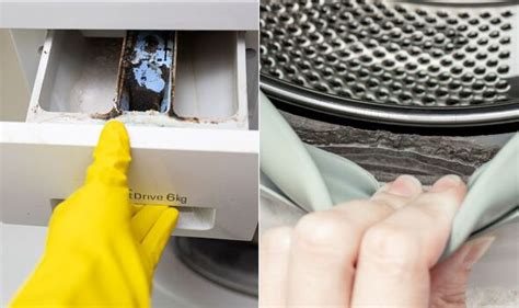 Image result for How to Clean Washing Machine Drawer Mould
