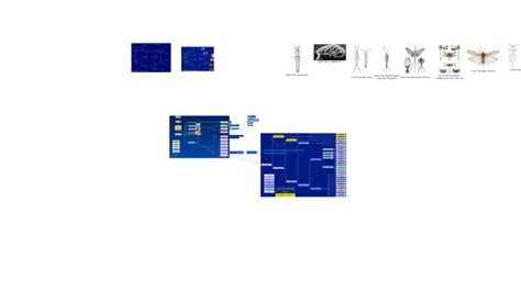 Local Protoures 的图像结果