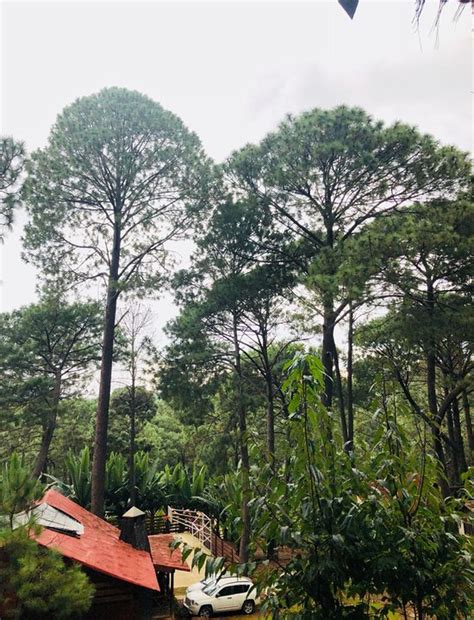 PINOS ALTOS (Mazamitla, Jalisco) - Campground Reviews & Photos ...