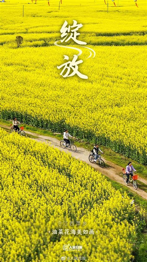春天里的中国自带氛围感_手机新浪网