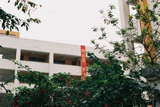 深圳最贵的私立学校是哪家-深圳贵族学校前十名 - 美国留学百事通