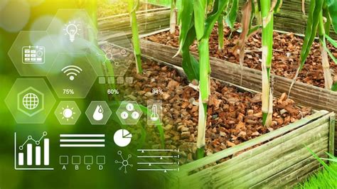 Agriculture Infographic 的图像结果