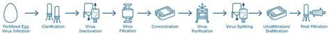 Egg-based and Cell-based Influenza Vaccine Manufacturing Methods