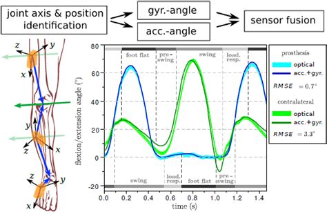 IMU-Based Joint Angle Measurement for Gait Analysis