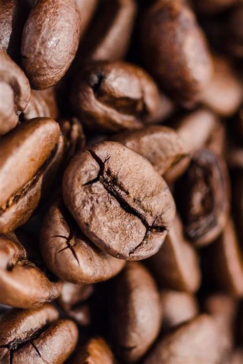 97 Coffee Shop From Shipping Containers ideas | container house ...