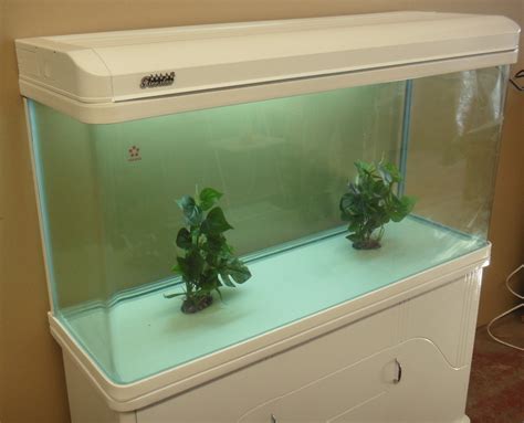 Tall Glass Aquarium at Ted Hayes blog