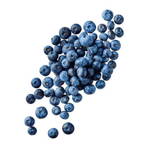 Kuvatulokset haulle Kulturheidelbeeren