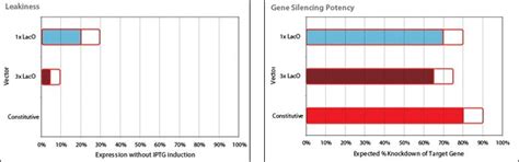 Inducible shRNA Vectors