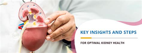 The Importance of Kidney Health: A Comprehensive Guide