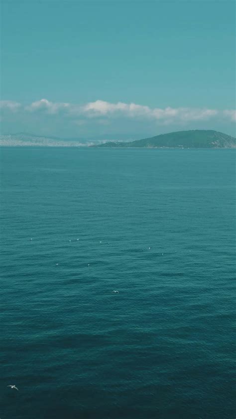 Royalty Free Stock Footage 的图像结果