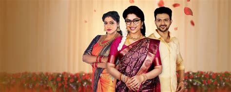 Seetha Raman TV Serial - Watch Seetha Raman Online All Episodes (1-352 ...