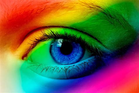 Exploring the World’s 16 Ugliest Colors and Why We Can’t Look Away ...