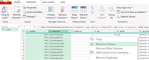 Image result for Data Preparation in Power Query Editor