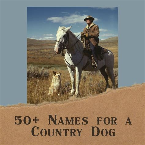 50+ Redneck and Bodacious Country Music Dog Names - PetHelpful