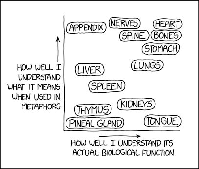 首页 - XKCD中文站