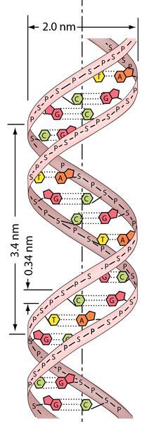 Image result for DNA Microarray Device