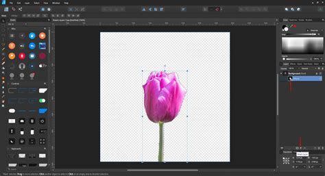 Affinity Designer Selections 的图像结果