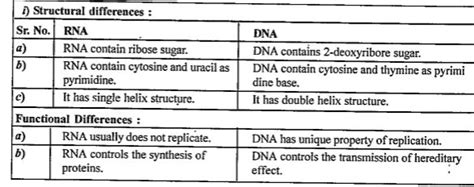 Write six differences between DNA and RNA.