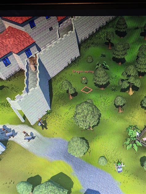 Image result for Dragon Impling Hunting