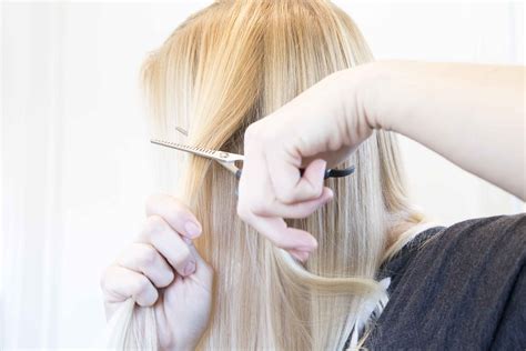 Why Do You Use Thinning Shears at Karen Chase blog