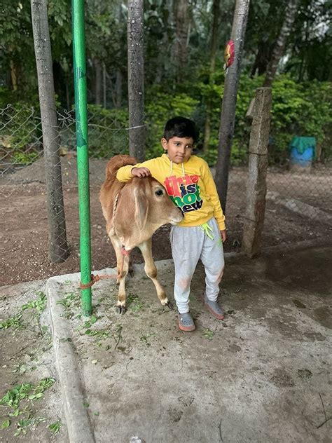 SEETHAVANAM NATURAL FARM (2025) All You Need to Know BEFORE You Go ...