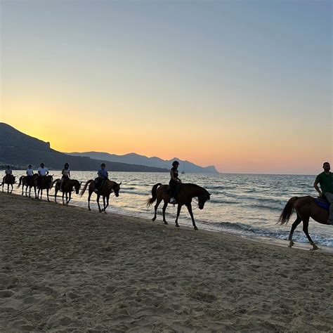 CENTRO DI EQUITAZIONE DI CAMPAGNA I TREKKER DEL GOLFO (2026) All You ...